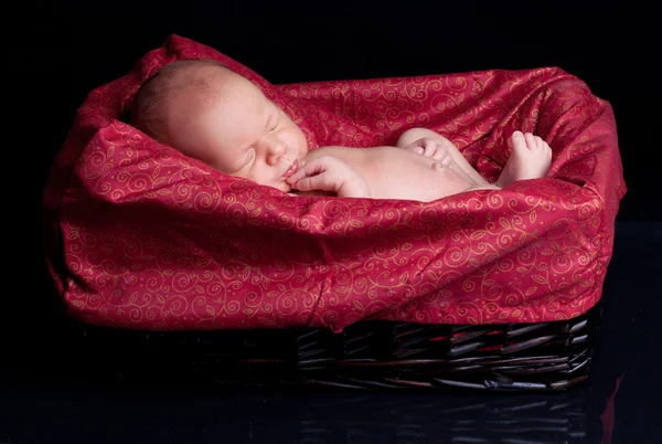 Kleine baby — Stockfoto