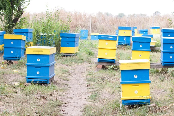 Beehive — Stock Photo, Image