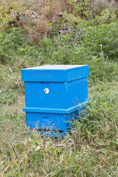 Beehive — Stock Photo, Image