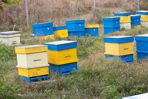 Beehive — Stock Photo, Image