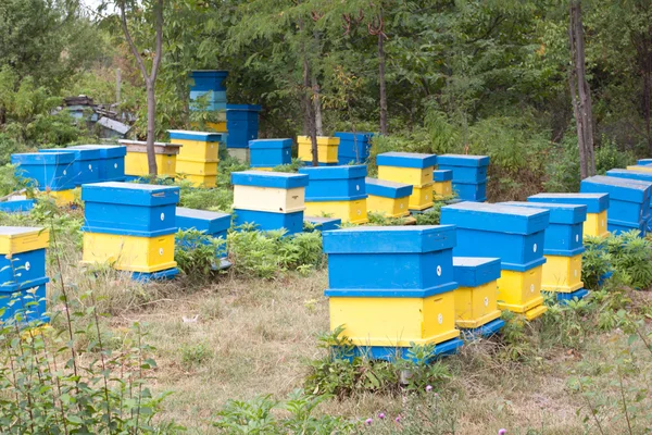 Beehive — Stock Photo, Image