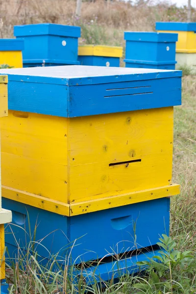 Beehive — Stock Photo, Image