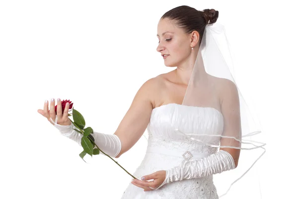 Nevěsta s červenou růží — Stock fotografie