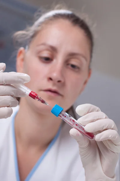 Inyección de sangre en el tubo de ensayo — Foto de Stock