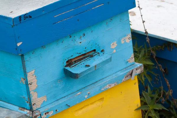 Beehive — Stock Photo, Image