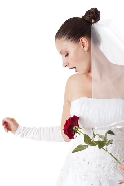 赤いバラと花嫁 — ストック写真