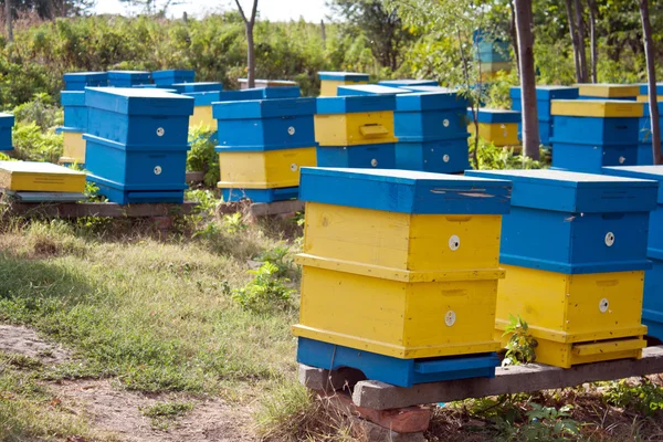 Beehive — Stock Photo, Image