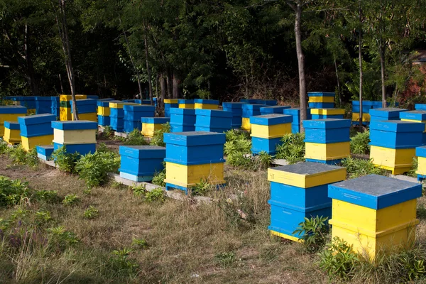 Beehive — Stock Photo, Image