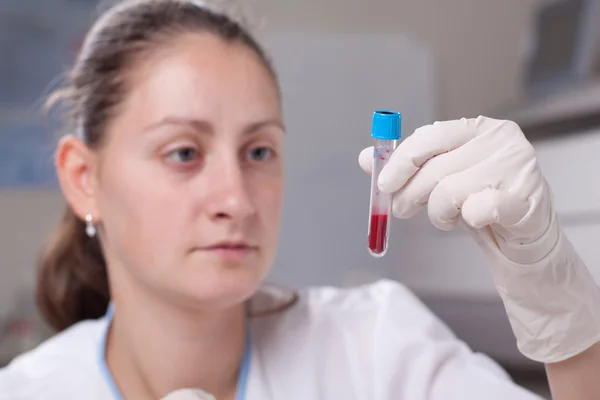 Holding test tube full of blood — Stock Photo, Image