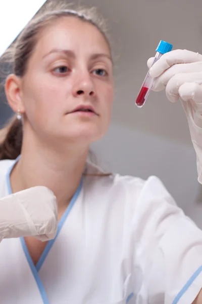 Holding test tube full of blood — Stock Photo, Image