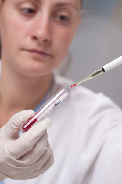 Micro Pipetteer met bloed — Stockfoto