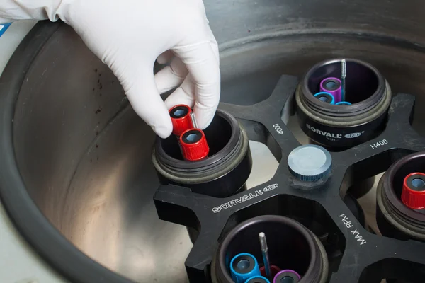 Handen in handschoen laden centrifuge — Stockfoto