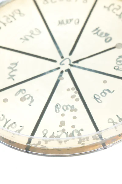 ペトリ皿の細菌 — ストック写真