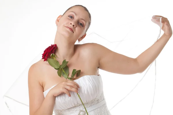 Sposa in bianco con rosa rossa — Foto Stock