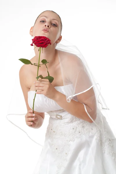 Bride in white with red rose — Stock Photo, Image