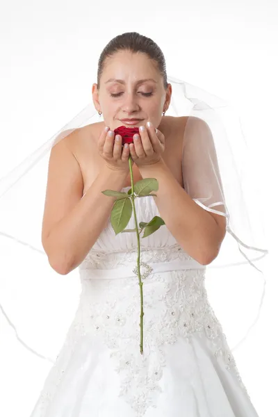 Sposa in bianco con rosa rossa — Foto Stock