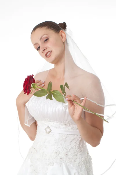 Bruid in wit met rode roos — Stockfoto
