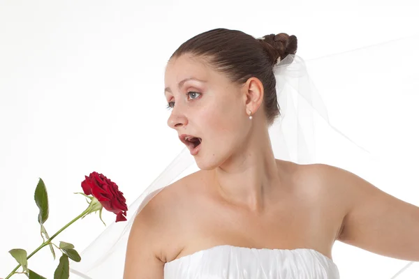 Bride in white with red rose Stock Picture