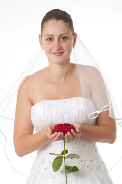 Mariée en blanc avec rose rouge Photos De Stock Libres De Droits