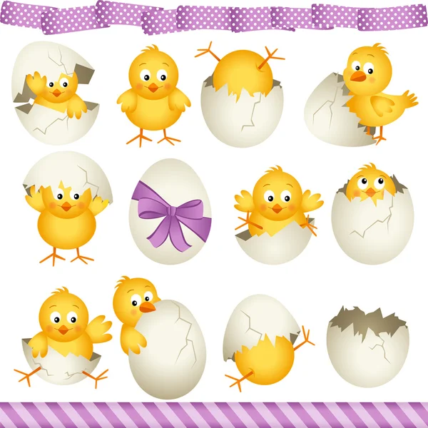 Easter eggs chicks — Stock Vector