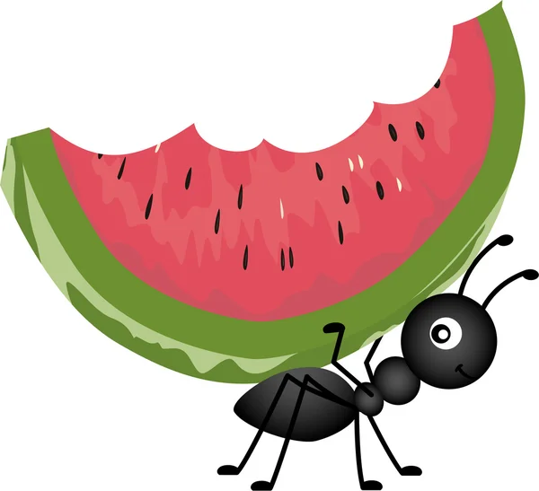 Ant transporterar vattenmelon — Stock vektor