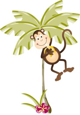 muz palmiye ağacından yeme maymun