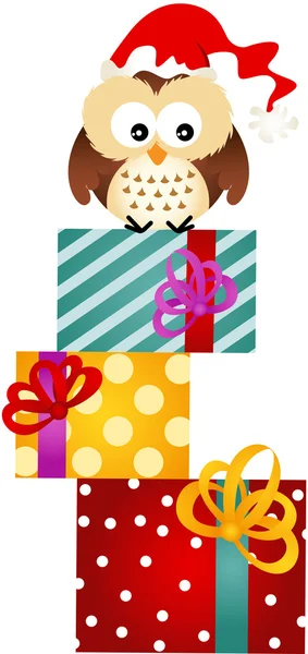 Owl on Christmas Gifts — Stock Vector