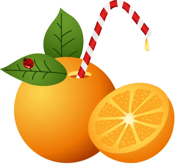 Narancssárga, szalma — Stock Vector