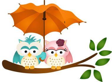 Baykuşlar şemsiyesi altında