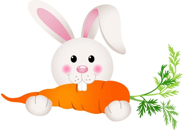 Кролик, поедающий морковь — стоковый вектор