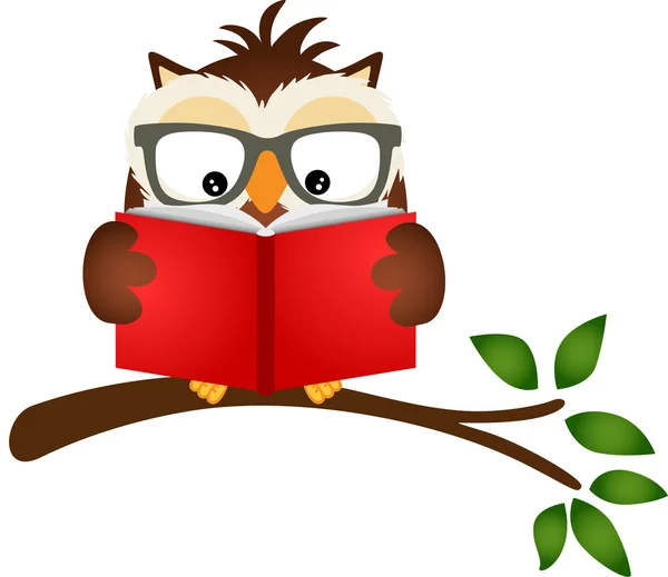 Búho leyendo un libro sobre rama de árbol — Vector de stock