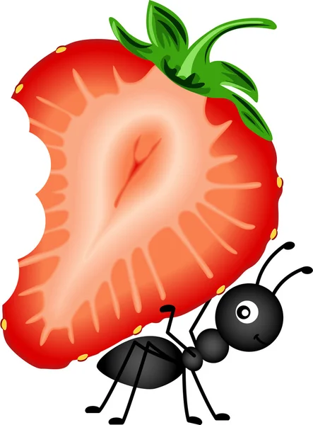 Ant Carrying Strawberry Sliced — Stock Vector