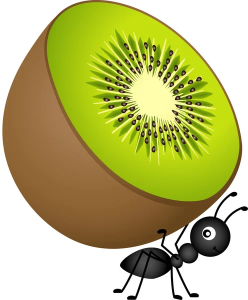 Hormiga llevando kiwi — Archivo Imágenes Vectoriales