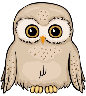 Beyaz tenli sevimli baykuş.