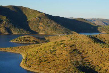 Portekiz 'in Douro Vadisi' ndeki Sabor nehri üzerindeki tepe yamaçlı güzel bir yaz manzarası..           