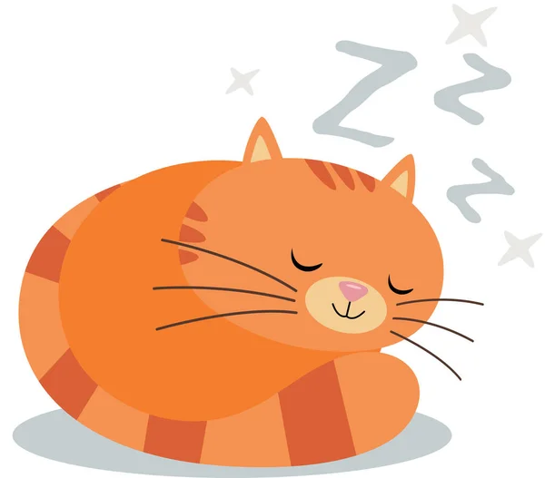 Χαριτωμένη Αστεία Γάτα Κοιμάται Απομονωμένη Λευκό — Διανυσματικό Αρχείο