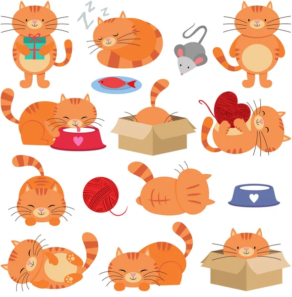 Zabawny Pakiet Cute Cat Zestawem Elementów Cyfrowych — Wektor stockowy
