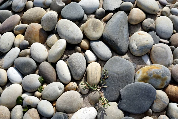 Pebbles Stones Seaside — 图库照片