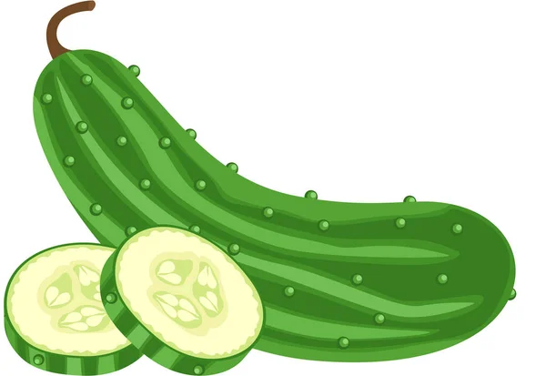 Green Cucumber Cucumber Slices — Stock Vector