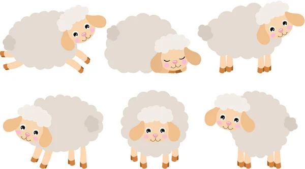 Ομάδα Έξι Χαριτωμένα Πρόβατα Αρνί — Διανυσματικό Αρχείο