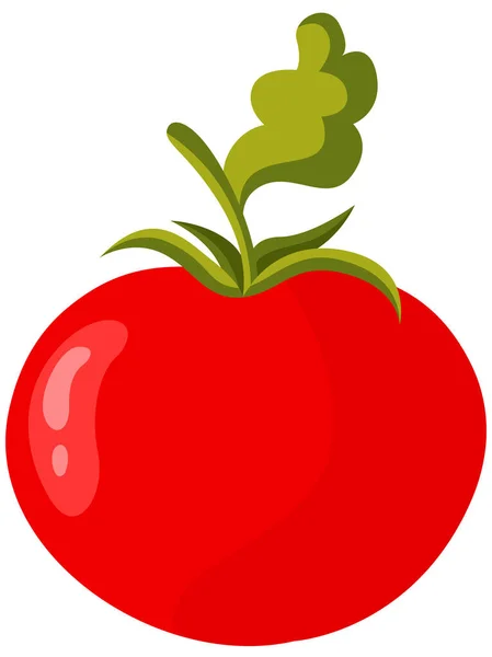 新鲜红番茄上白色隔离 — 图库矢量图片