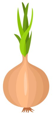 taze soğan üzerinde beyaz izole