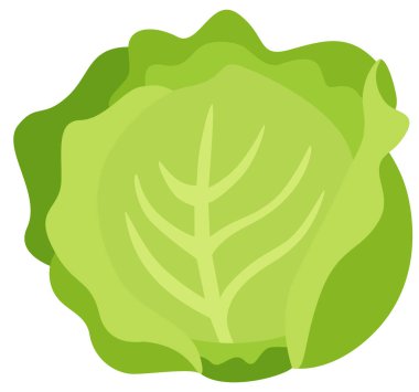 Beyaz üzerinde taze yeşil marul.