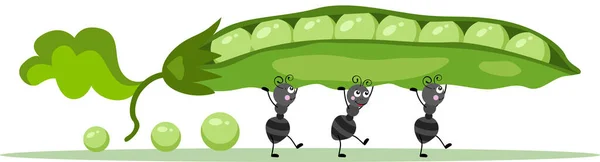 Lindas Hormigas Llevando Una Vaina Verde Con Guisantes — Vector de stock