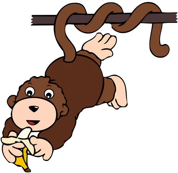 Cute Monkey Hanging Iron Bar Eating Banana — Vetor de Stock