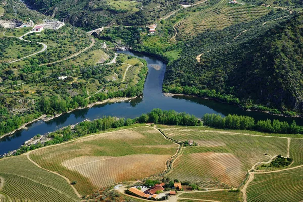 Пейзаж Международного Парка Дору Реки Дору Севере Португалии — стоковое фото
