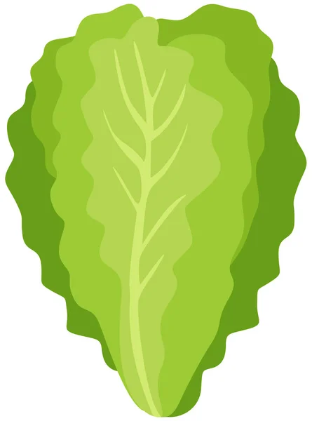 Hojas Lechuga Verde Fresca Aisladas — Vector de stock