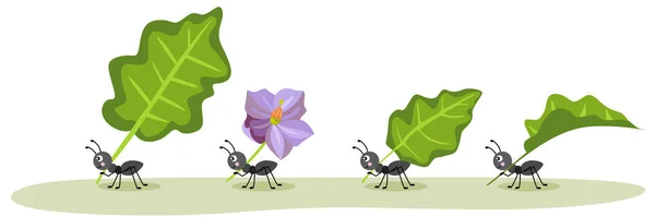 Niedliche Ameisen Mit Grünen Blättern Und Lila Blüten — Stockvektor