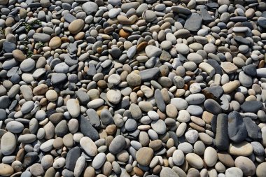 Deniz taşları, deniz taşları.