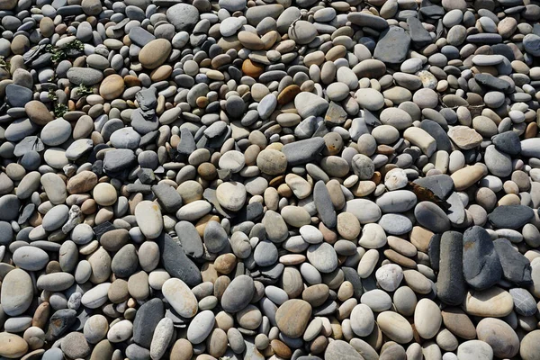 Piedras Mar Mar — Foto de Stock